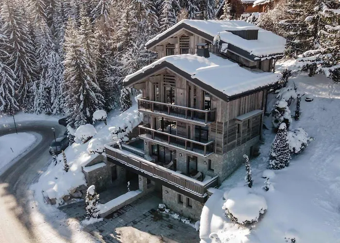 De Luxe A Avec Piscine Et Personnel 15 Pers - Fr-1-562-71